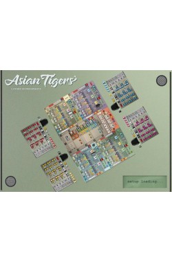 Preorder - Asian Tigers: A Story of Prosperity (verwacht oktober 2024)